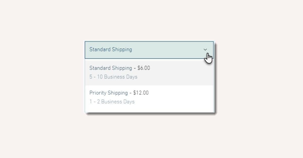 express shipping option example on ecommerce website