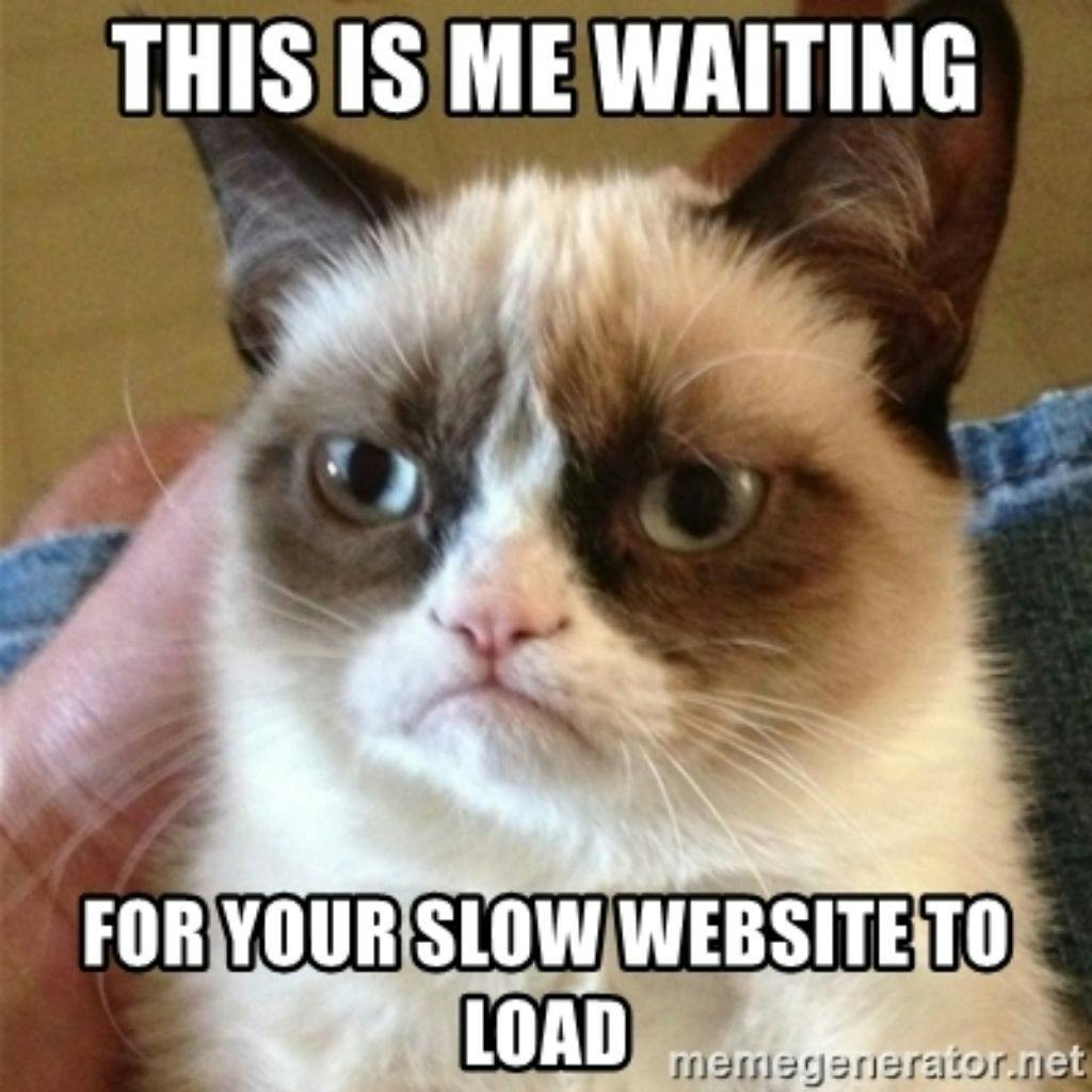 Slow website meme of a grumpy cat
